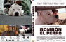 BOMBON EL PERRO